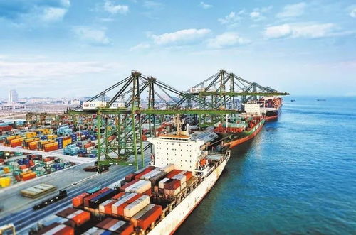 貨物出口保稅區再進口流程詳解