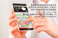 重慶軟件開(kāi)發(fā) 從山地之城的數(shù)字崛起到智能未來(lái)